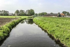 Lunterse beek (3)