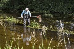 bemonstering Barneveldse beek