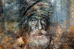 Withdrawn in the woods