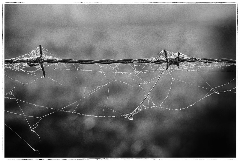 Gebroken veerkracht-04