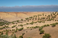 midden  Atlas west